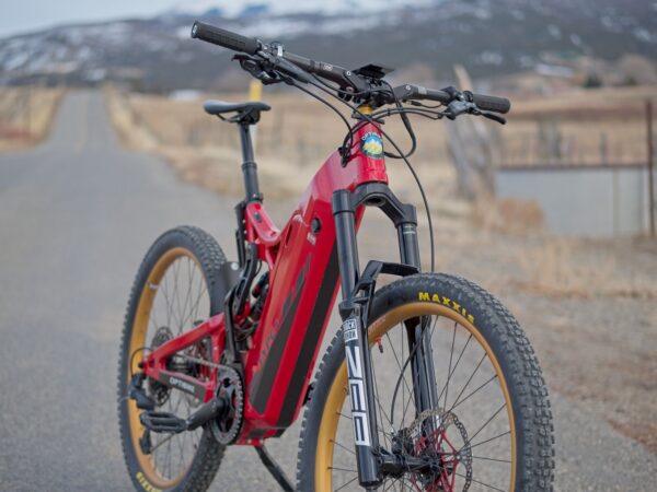 RIOT - Class 1 eMTB with 190Nm Torque (Custom Built to Order)