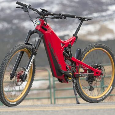 RIOT EU Version - eMTB with 190Nm Torque (Custom Built to Order)