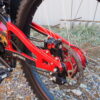 2024 Demo Rosa Corsa R17T