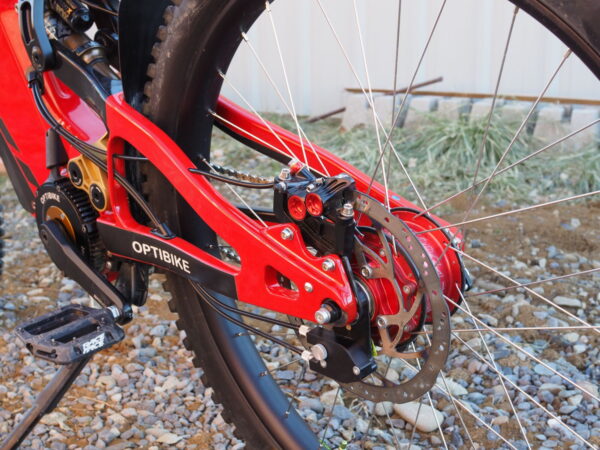 2024 Demo Rosa Corsa R17T